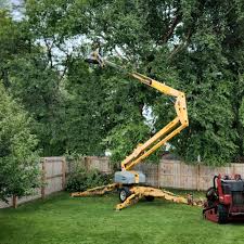 Reliable Nowthen, MN Tree Removal and Landscaping Services Solutions